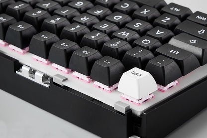 M1 V5 VIA WOB Mechanical Keyboard
